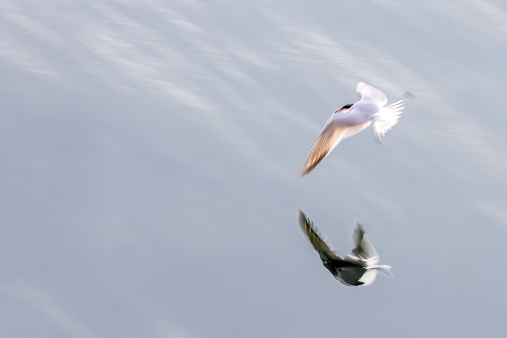 Platz 9 Conny Kleiner